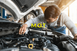 MOT